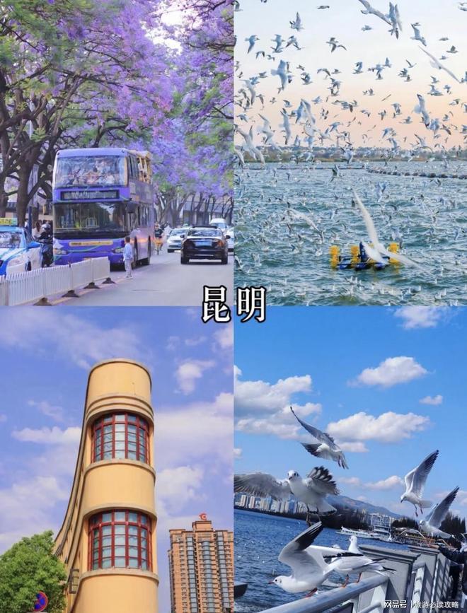 制导游推荐云南不进购物店报团通道澳门新葡京云南旅游攻略大全私人定(图3)
