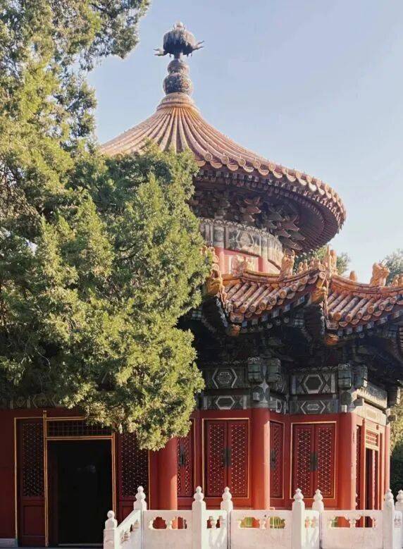 深度解析：这10家靠谱旅行社值得收藏！新葡京娱乐场app北京正规旅行社榜及(图2)