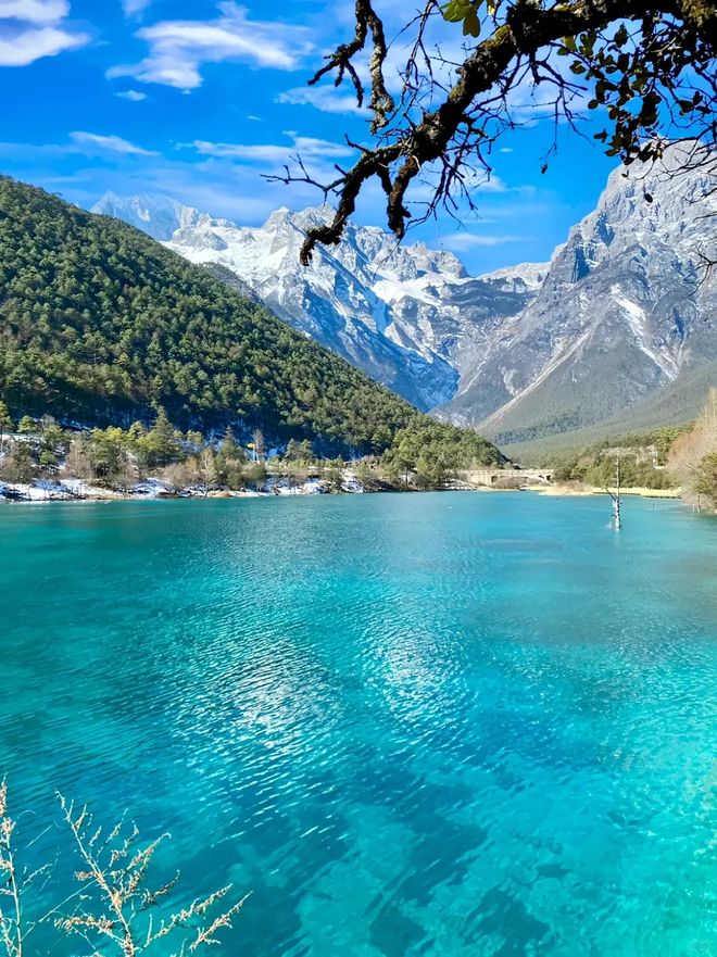 实力、线路特色与真实口碑权威分析澳门新葡